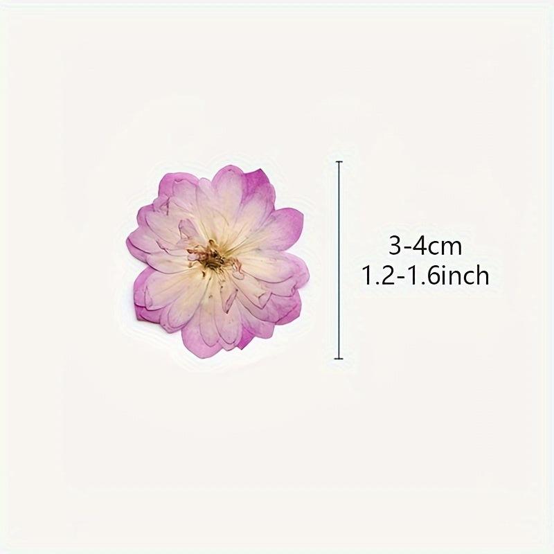 12pcs Pink Roses Dried Flowers Resin Bulk DIY Craft Christmas Decoration