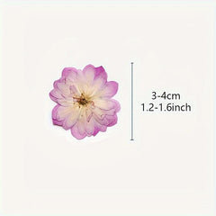 12pcs Pink Roses Dried Flowers Resin Bulk DIY Craft Christmas Decoration