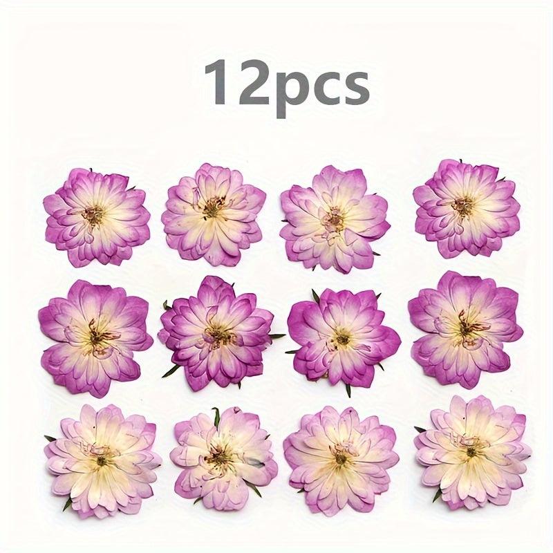 12pcs Pink Roses Dried Flowers Resin Bulk DIY Craft Christmas Decoration