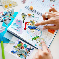 40pcs Colorful Bird Stickers for Scrapbook Crafts and Journals
