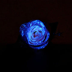 20g Glow in the Dark Paint for DIY Nail Art & Running
