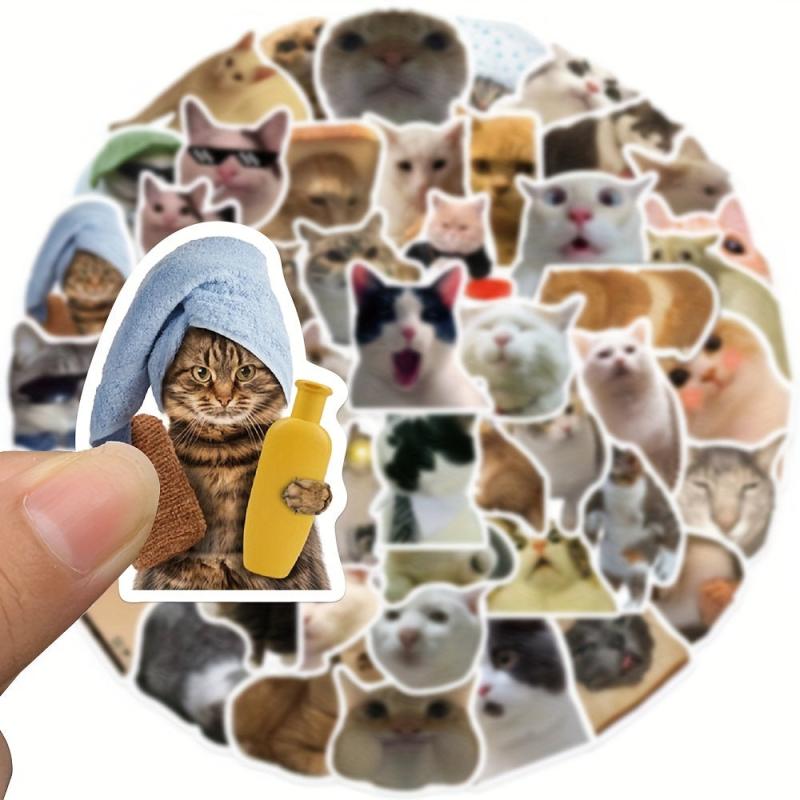50PCcs Funny Cat Stickers Waterproof Scrapbook Journaling Lap