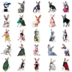 50pcs Hairless Cat Stickers for Motorcycle Laptop Mug DIY Waterproof Sticker
