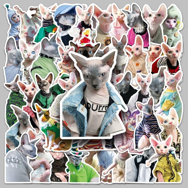 50pcs Hairless Cat Stickers for Motorcycle Laptop Mug DIY Waterproof Sticker