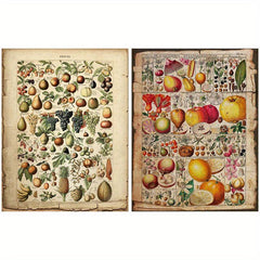 10 Sheets Plant Pages Material Paper Retro Insect Journal DIY Gift Women Adults