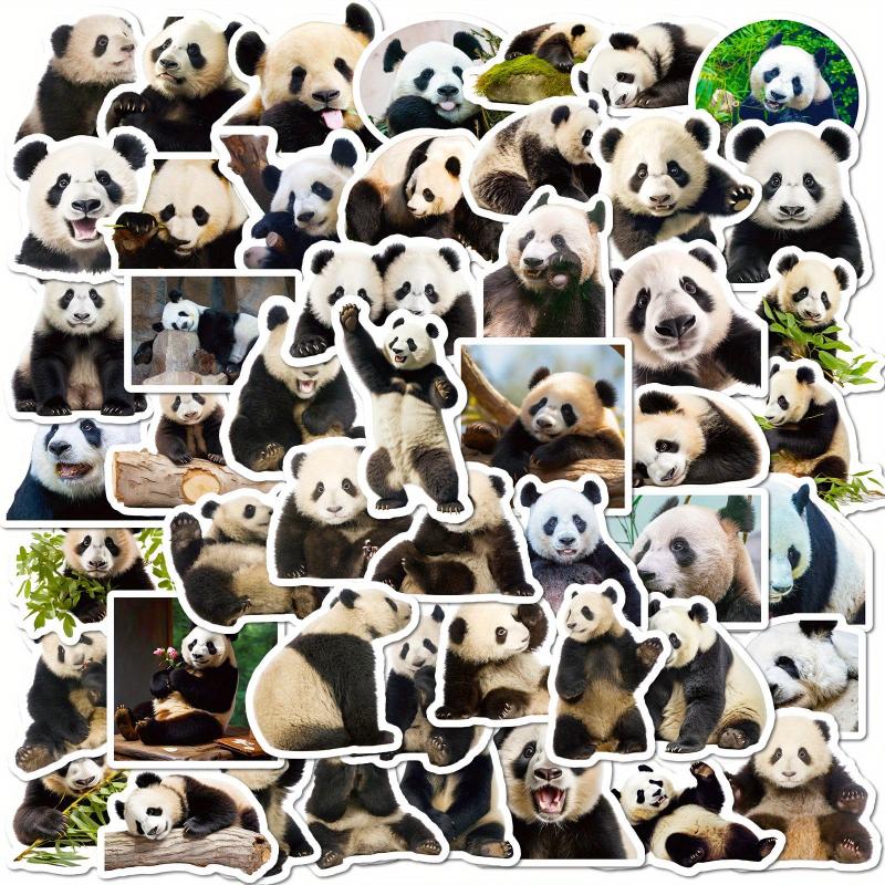50pcs Cartoon Panda Stickers for Stationery Laptops Water Cups Mobile Cases