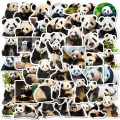 50pcs Cartoon Panda Stickers for Stationery Laptops Water Cups Mobile Cases