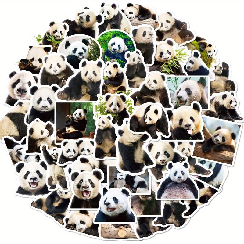 50pcs Cartoon Panda Stickers for Stationery Laptops Water Cups Mobile Cases