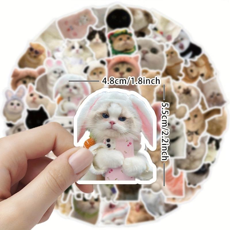 60pcs Realistic Cat Stickers Transparent Vinyl Cats Sticker Kitten Wa