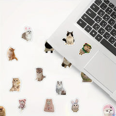60pcs Realistic Cat Stickers Transparent Vinyl Cats Sticker Kitten Wa