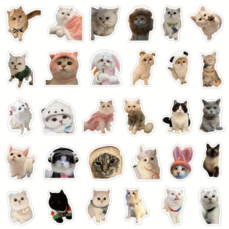 60pcs Realistic Cat Stickers Transparent Vinyl Cats Sticker Kitten Wa