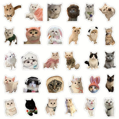 60pcs Realistic Cat Stickers Transparent Vinyl Cats Sticker Kitten Wa