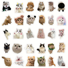 60pcs Realistic Cat Stickers Transparent Vinyl Cats Sticker Kitten Wa