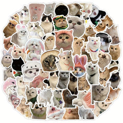 60pcs Realistic Cat Stickers Transparent Vinyl Cats Sticker Kitten Wa