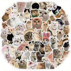 60pcs Realistic Cat Stickers Transparent Vinyl Cats Sticker Kitten Wa
