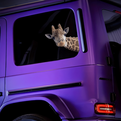 Funny Giraffe Vinyl Sticker for Car Window Bumper