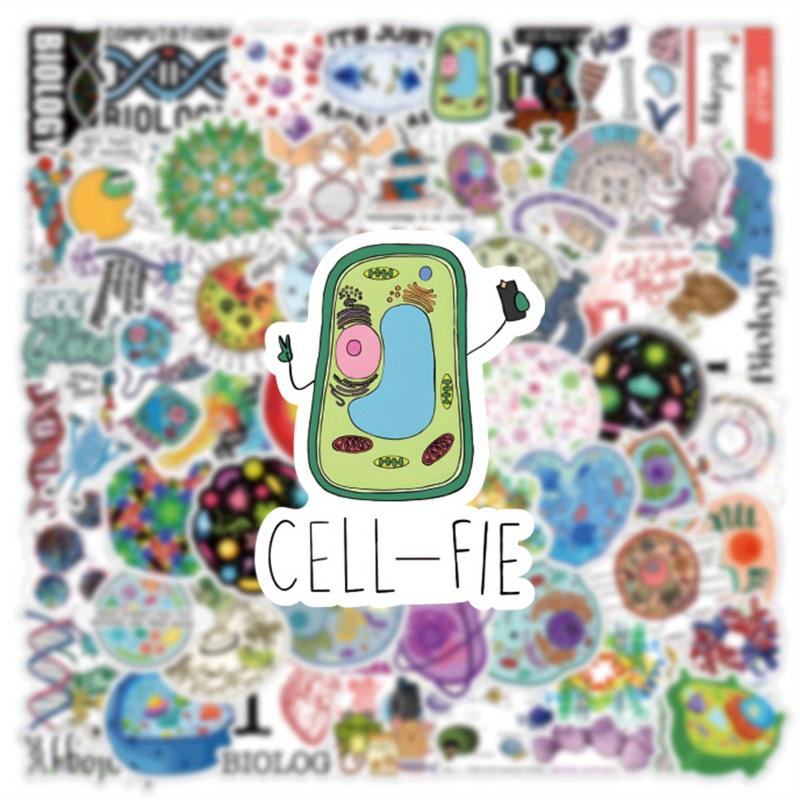 61pcs Biology Stickers Cartoon Aesthetics Vinyl Waterproof Stickers
