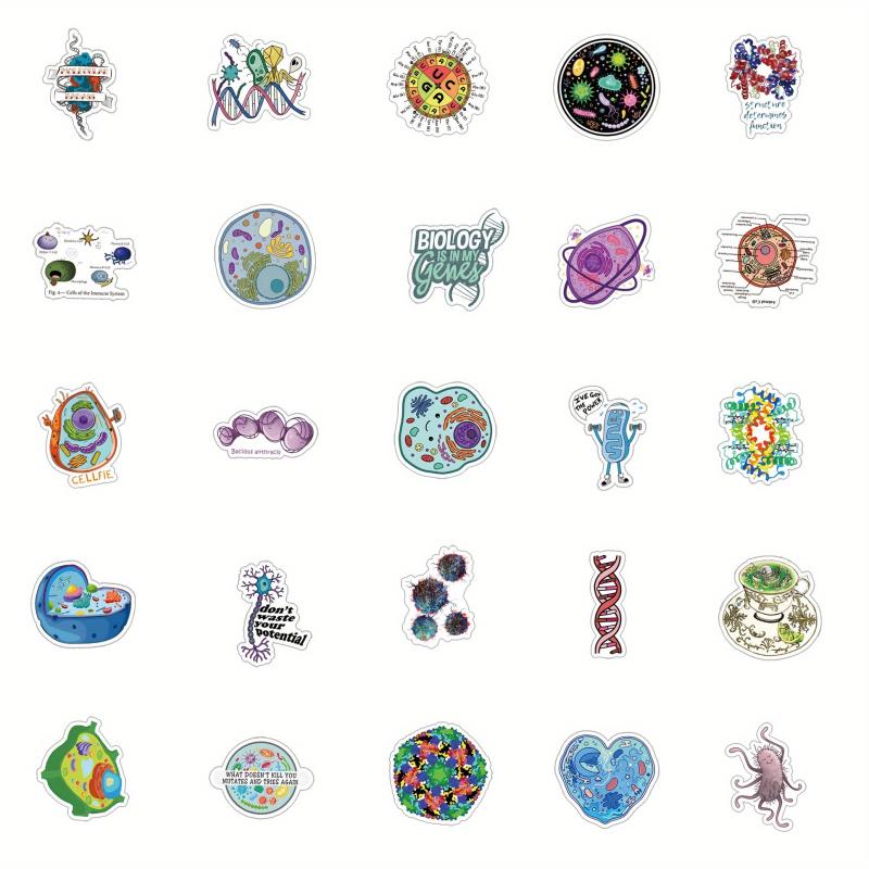 61pcs Biology Stickers Cartoon Aesthetics Vinyl Waterproof Stickers