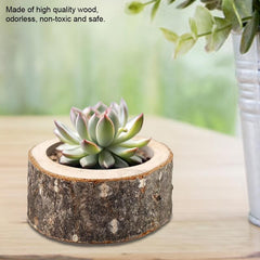 Log Candle Holder Planter For Succulent Plants Desktop Decoration