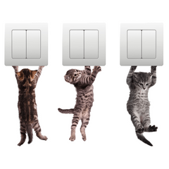 Kitten Patterns Car Wall Glass Door Window Stickers