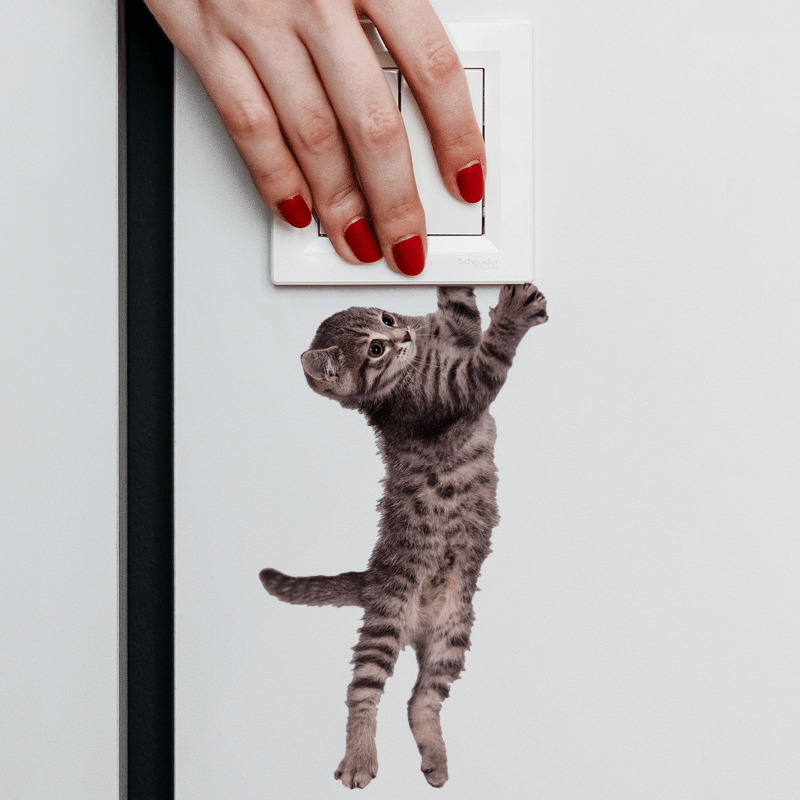 Kitten Patterns Car Wall Glass Door Window Stickers