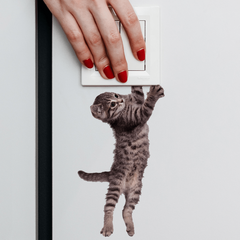 Kitten Patterns Car Wall Glass Door Window Stickers