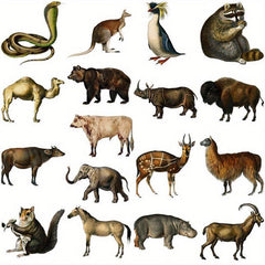 50pcs Retro Animal Vinyl Stickers For Water Bottle Laptops Phones
