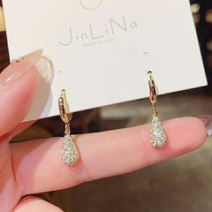 Zircon Drop Earrings Party Jewelry Gift For Women