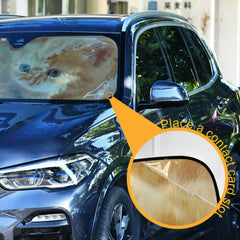 Car Windshield Sunshade Cat Sun Visor Solar Protection