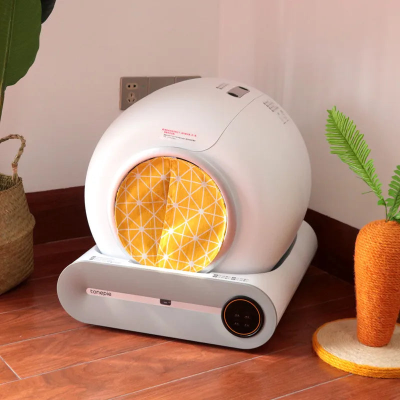 img_5088516