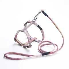img_5028831