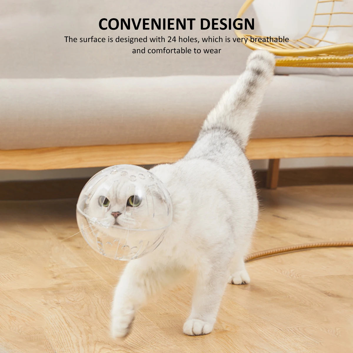 img_5088566