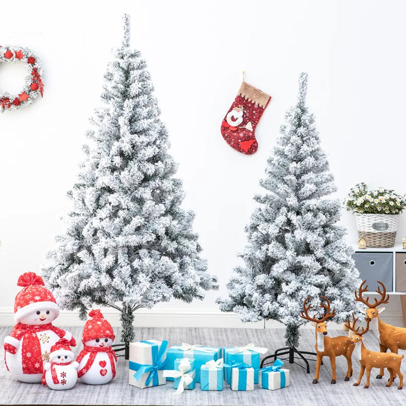img_2816371