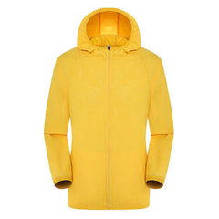 img_2033445