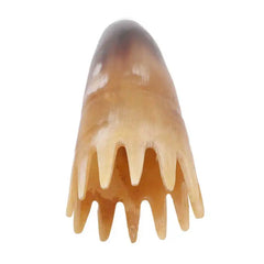 img_501855