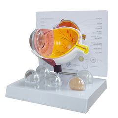 img_200277