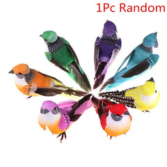 img_2985448