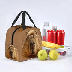 Capybara Dozing In The Sunshine Lunch Bag Insulated for Kids School