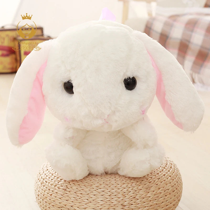 img_4992878