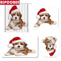 img_7624822