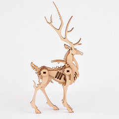 img_2798074