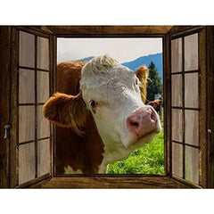 img_7428200