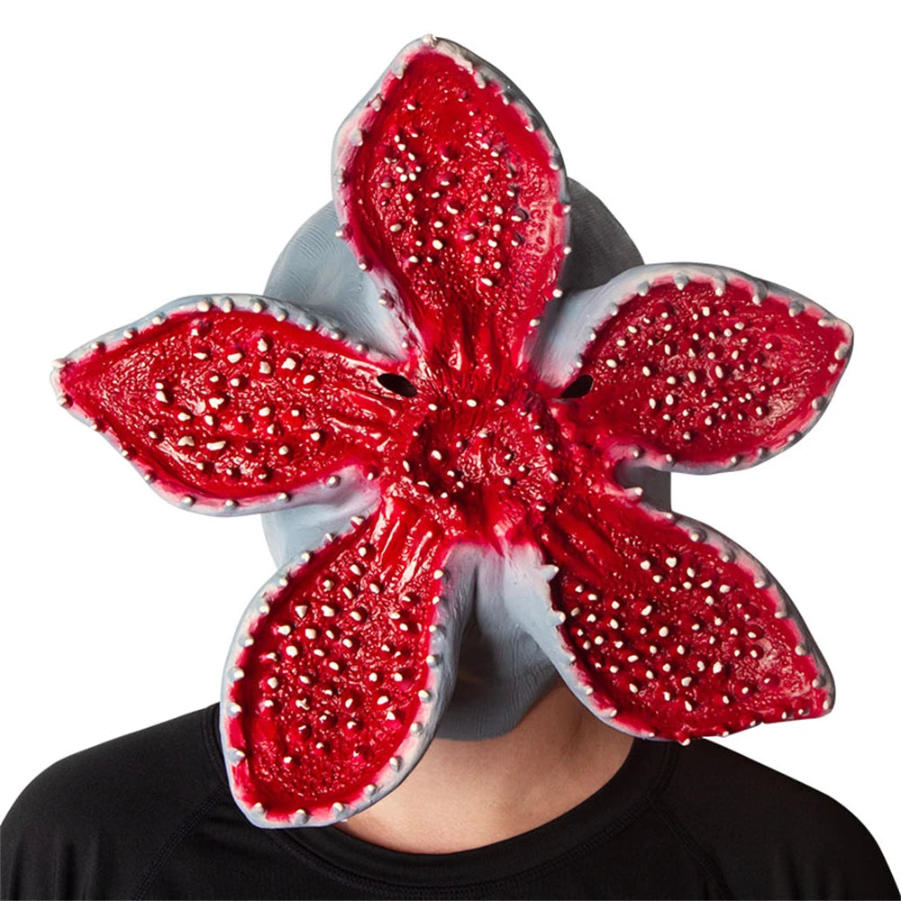 img_2568102