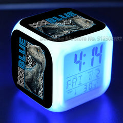 img_254704
