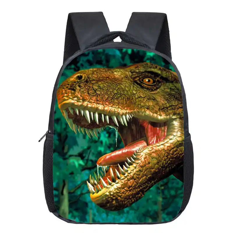 Dinosaur Magic Dragon Backpack for Kids
