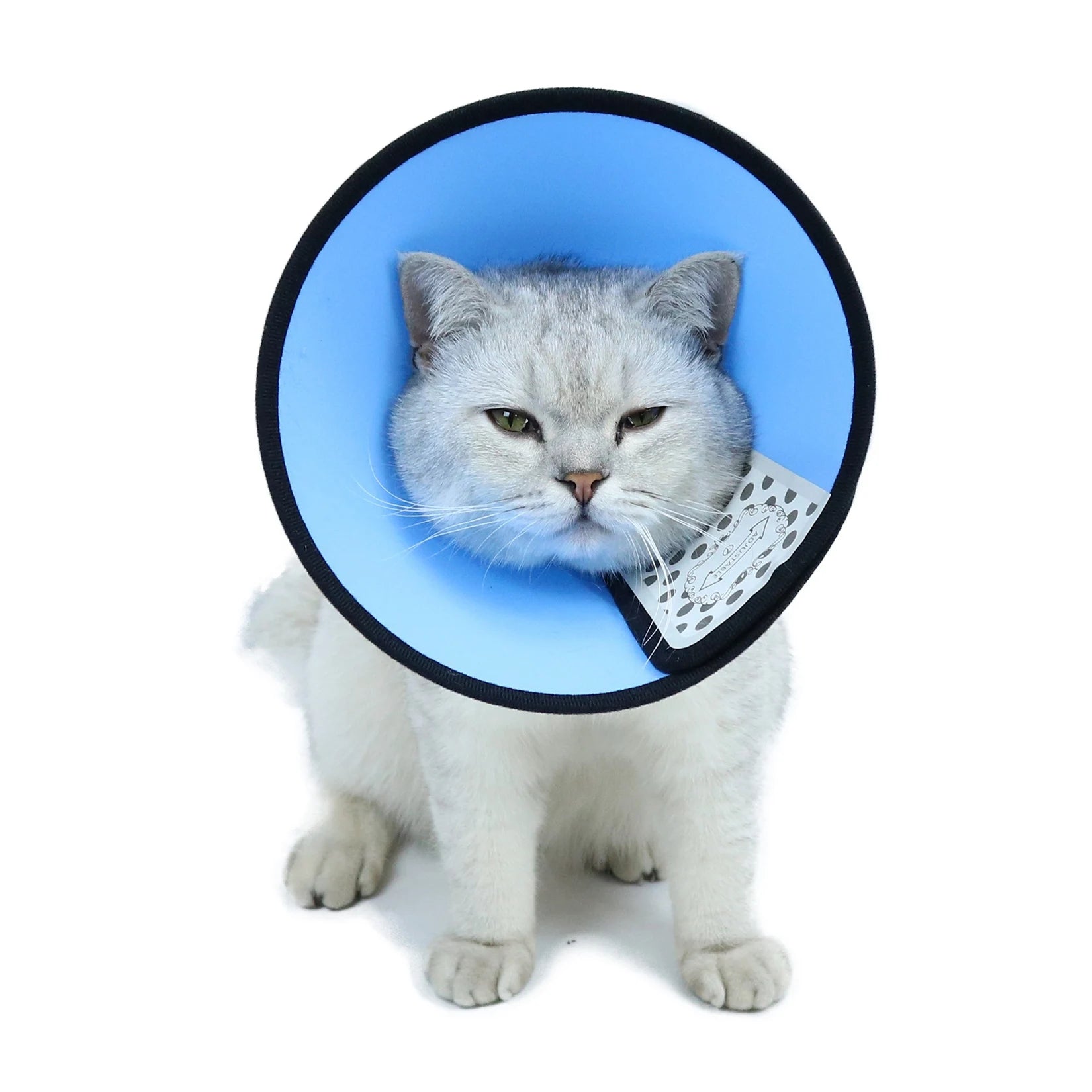 img_5024121