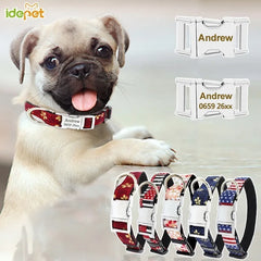img_5025892
