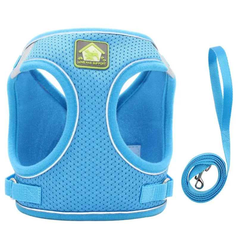 img_5030753