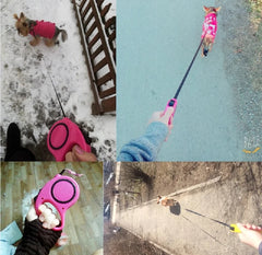 img_5036921