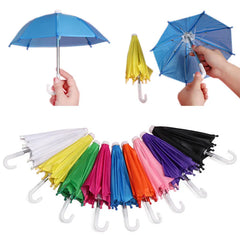 img_3090506